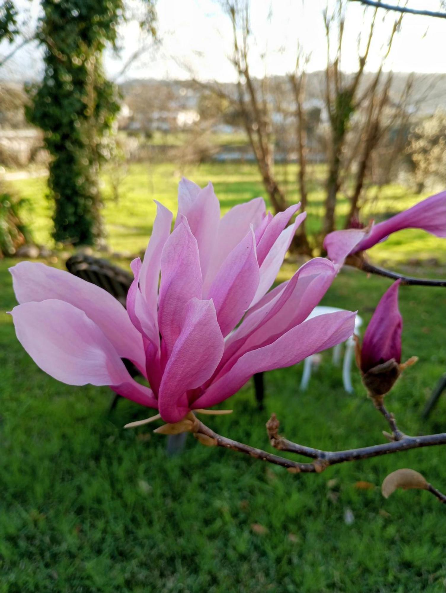 Magnolias Cottage Луса Экстерьер фото